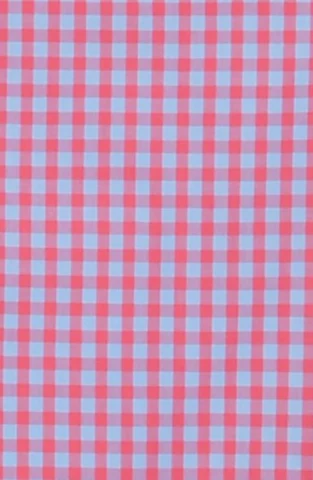 Ternet skjorte i blå og pink